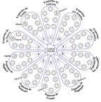 Plano del Sistema Solad